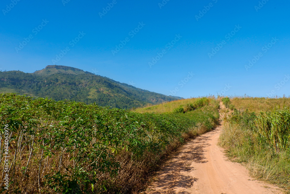 dirt road on field to hill mountain - Rural dusty countryside road