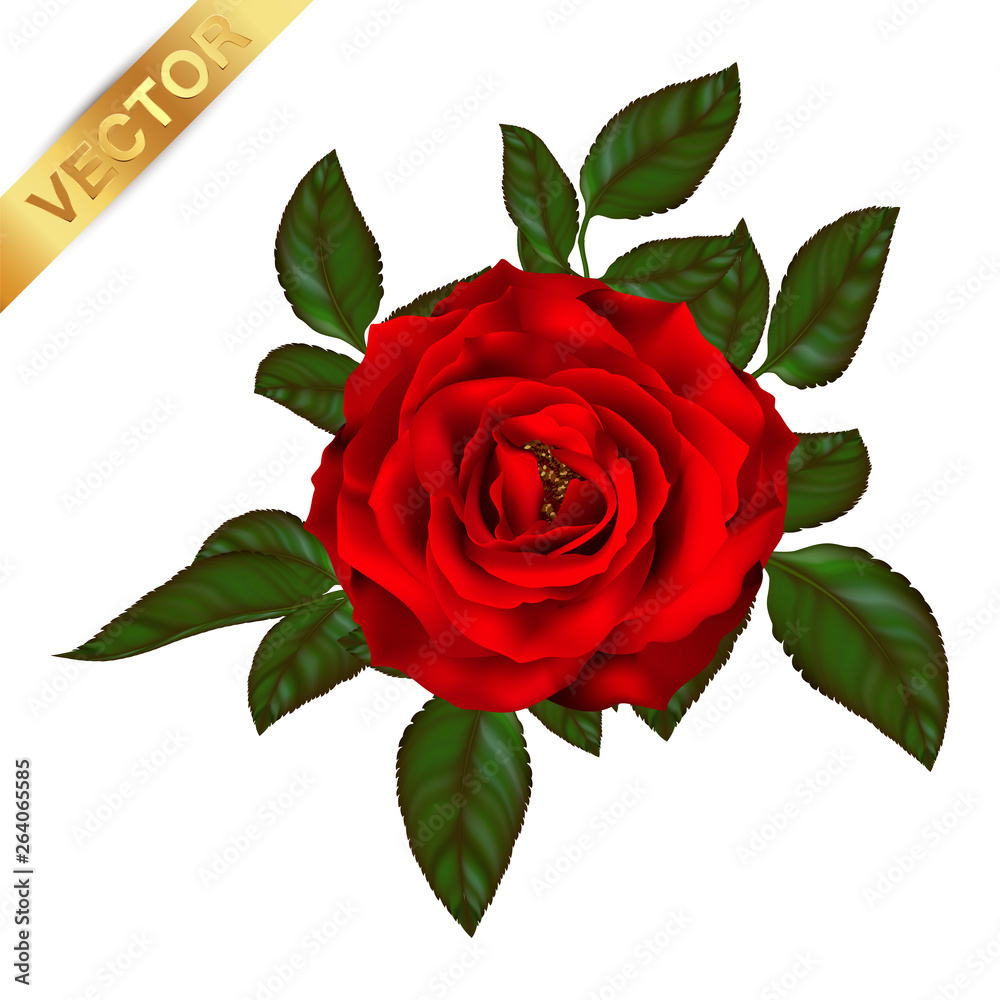 Naklejka premium beautiful bouquet with red roses and leaves. Floral arrangement.design greeting card and invitation of the wedding, birthday,Valentine's Day, mother's day and other holiday.