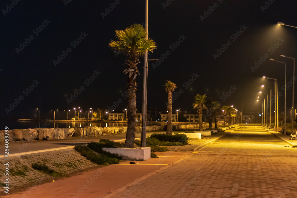 a wide view night shoot from coastal road - palm trees and city lights