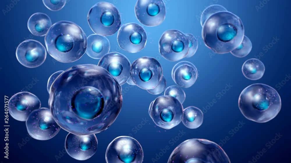 healthy cells with mitochondria in motion 4k animation healthy cells with mitochondria in motion 4k animation
