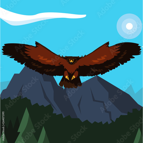 beautiful eagle flying in the landscape majestic bird photo