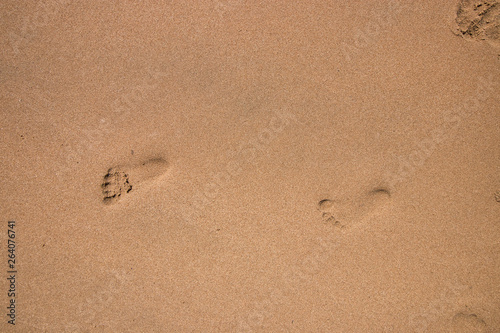 cildren footprints in the sand 