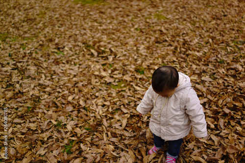 little child playing in autumn park