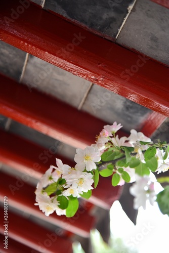 wedding cake with roses