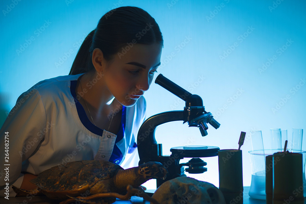 Student girl looking in a microscope, science laboratory concept ...