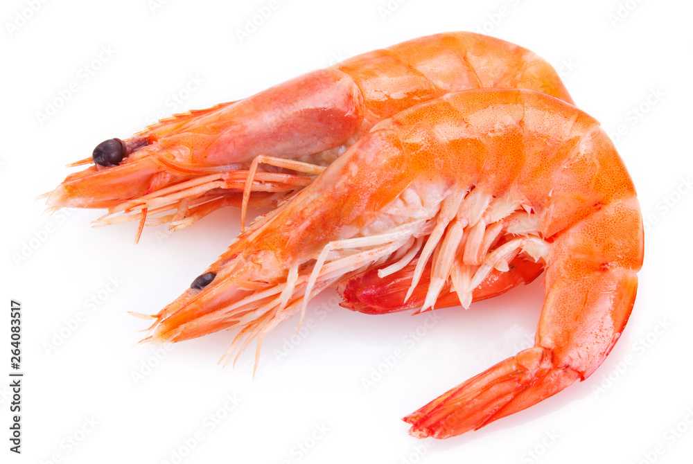 Cooked shrimp on white background Cooked shrimp on white background