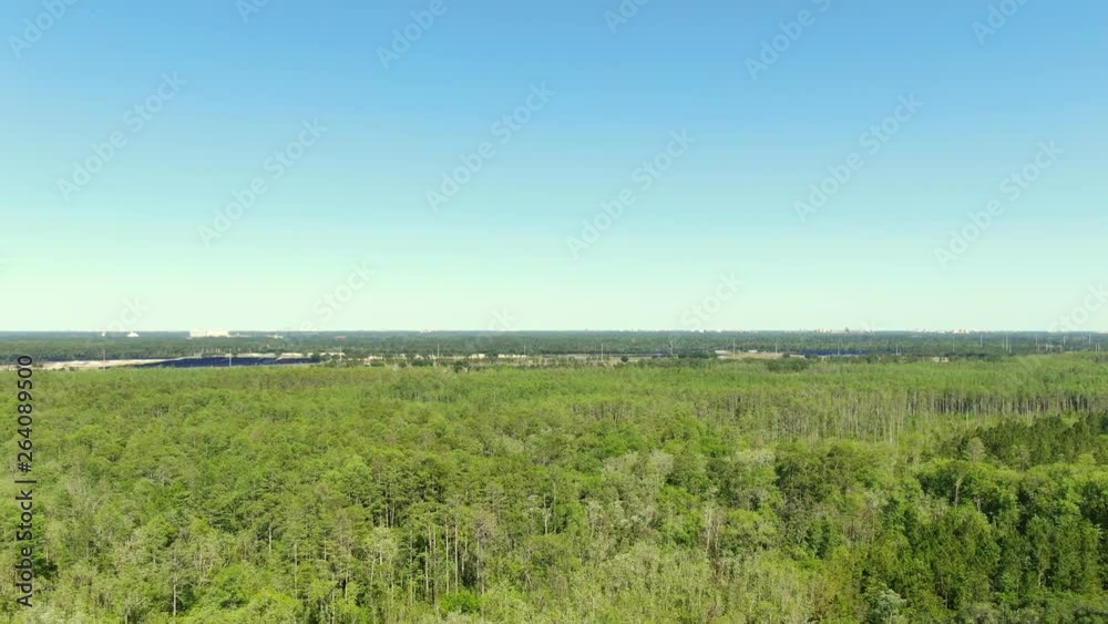 Flying over a lush forest with a solar farm in the distance Flying over a lush forest with a solar farm in the distance
