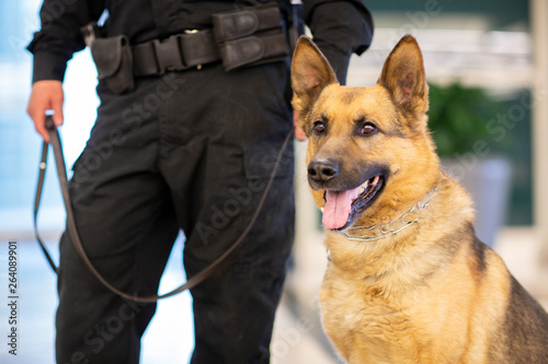 Police K9 Patrol