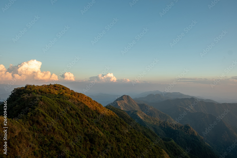Fototapeta premium scenic mountain lined with alternates. The morning sun shines and fog covered the mountain. Doi KALHEPU, Mae Moei, Tak in Thailand