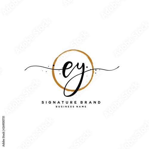 E Y EY Initial letter handwriting and signature logo.