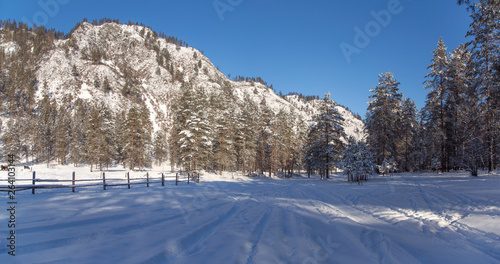 Winter snow-covered and frosty Altai. Altai blue eyes