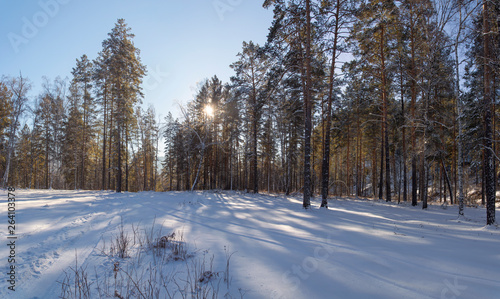 Winter snow-covered and frosty Altai. Altai blue eyes