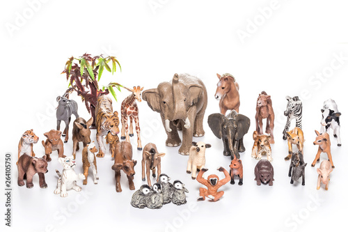 Fototapeta Naklejka Na Ścianę i Meble -  Various animal model toys