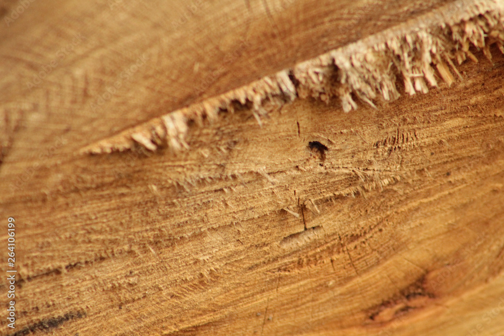 Naklejka premium Lumber