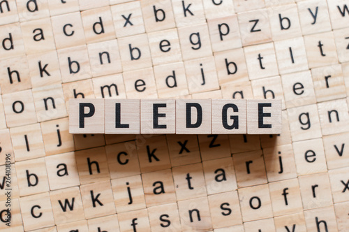Pledge word concept photo