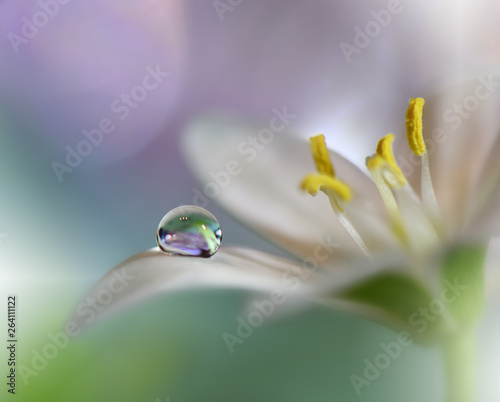 Beautiful Nature Background.Colorful Artistic Wallpaper.Natural Macro Photography.Beauty in Nature.Creative Floral Art.Tranquil nature closeup view.Blurred space for your text.Wedding Invitation.