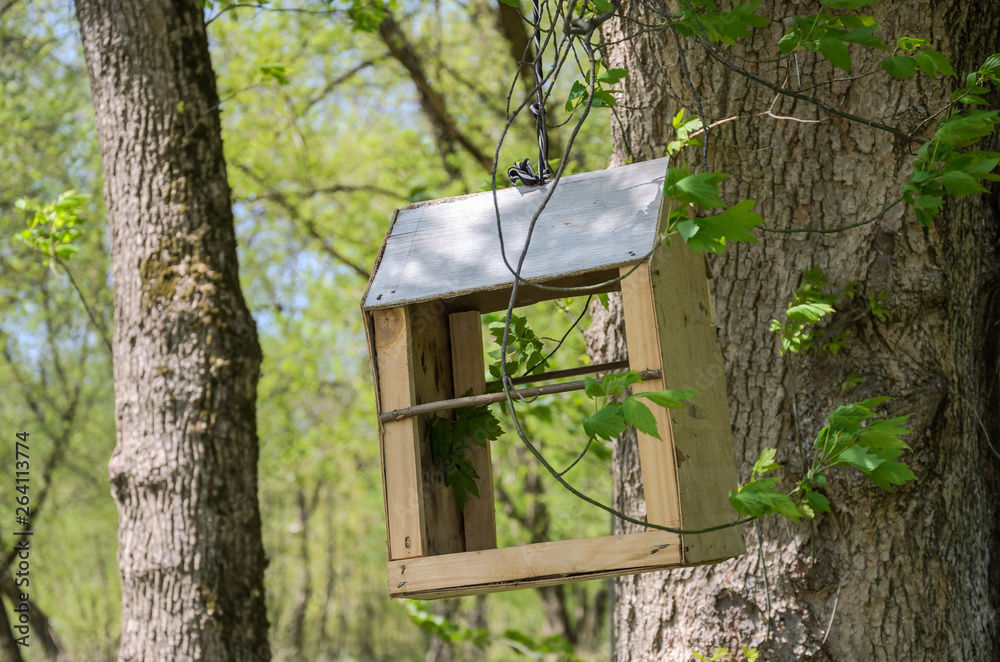 Handmade wooden bird feeder hanging on the tree