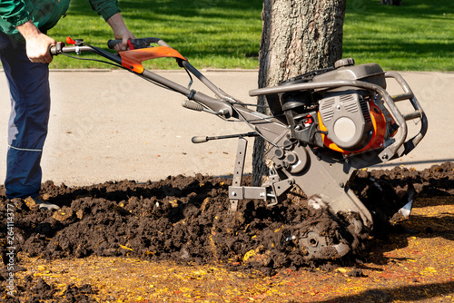 A worker digs the ground in a park around a tree using landscape gardening equipment. Spring cleaning work in the park area.