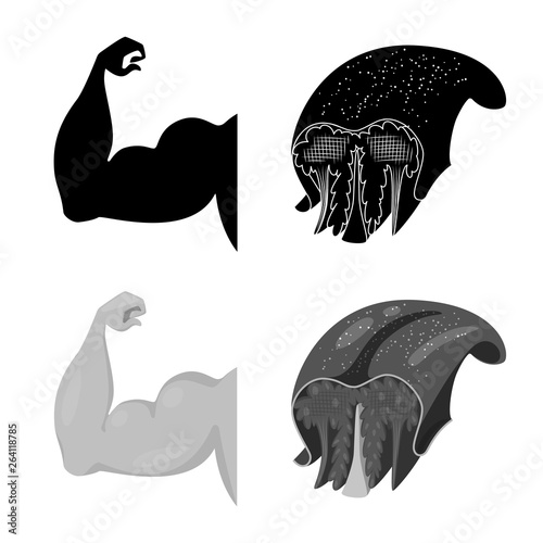 Vector illustration of fiber and muscular icon. Set of fiber and body  stock vector illustration.