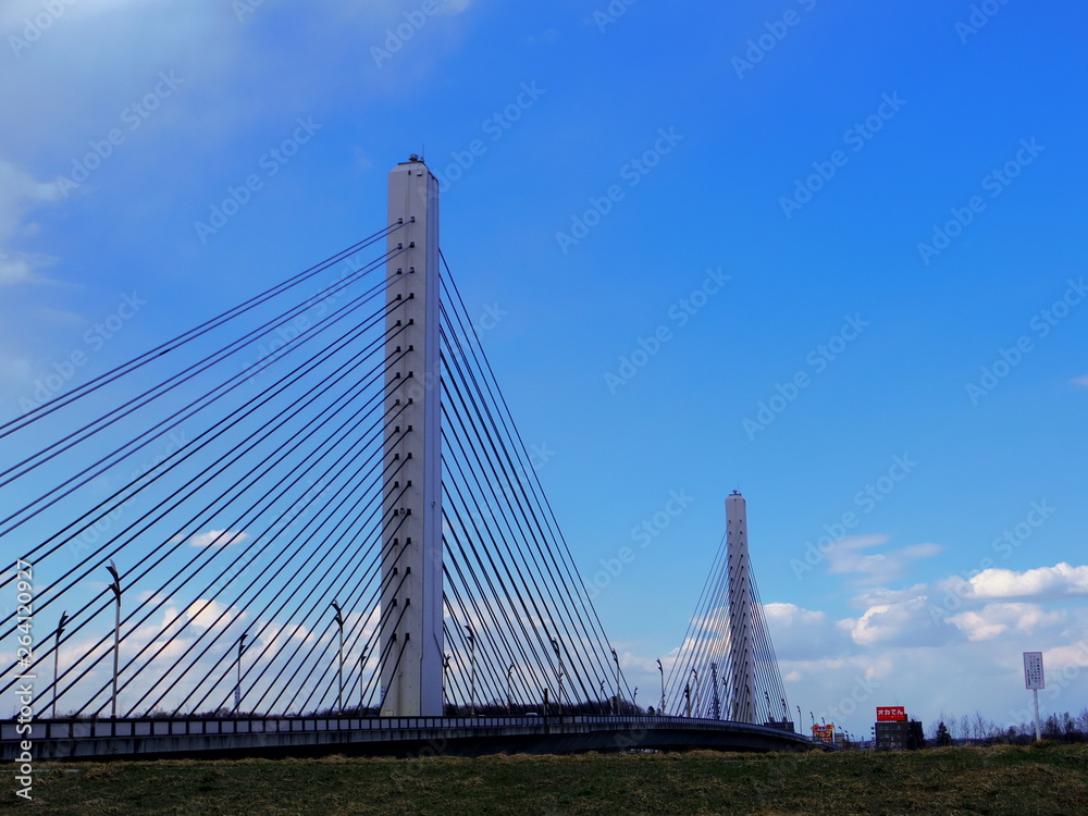 Fototapeta premium 十勝大橋（北海道帯広市）