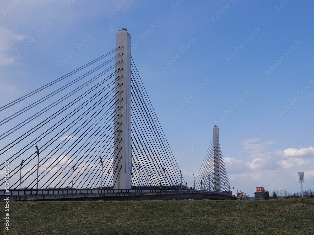 Fototapeta premium 北海道帯広市十勝大橋