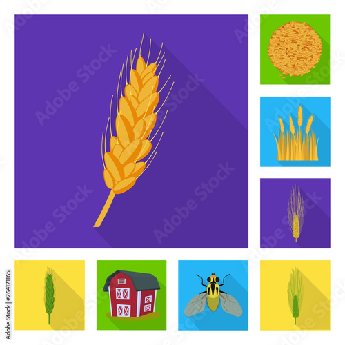 Vector design of wheat and corn icon. Collection of wheat and harvest vector icon for stock.