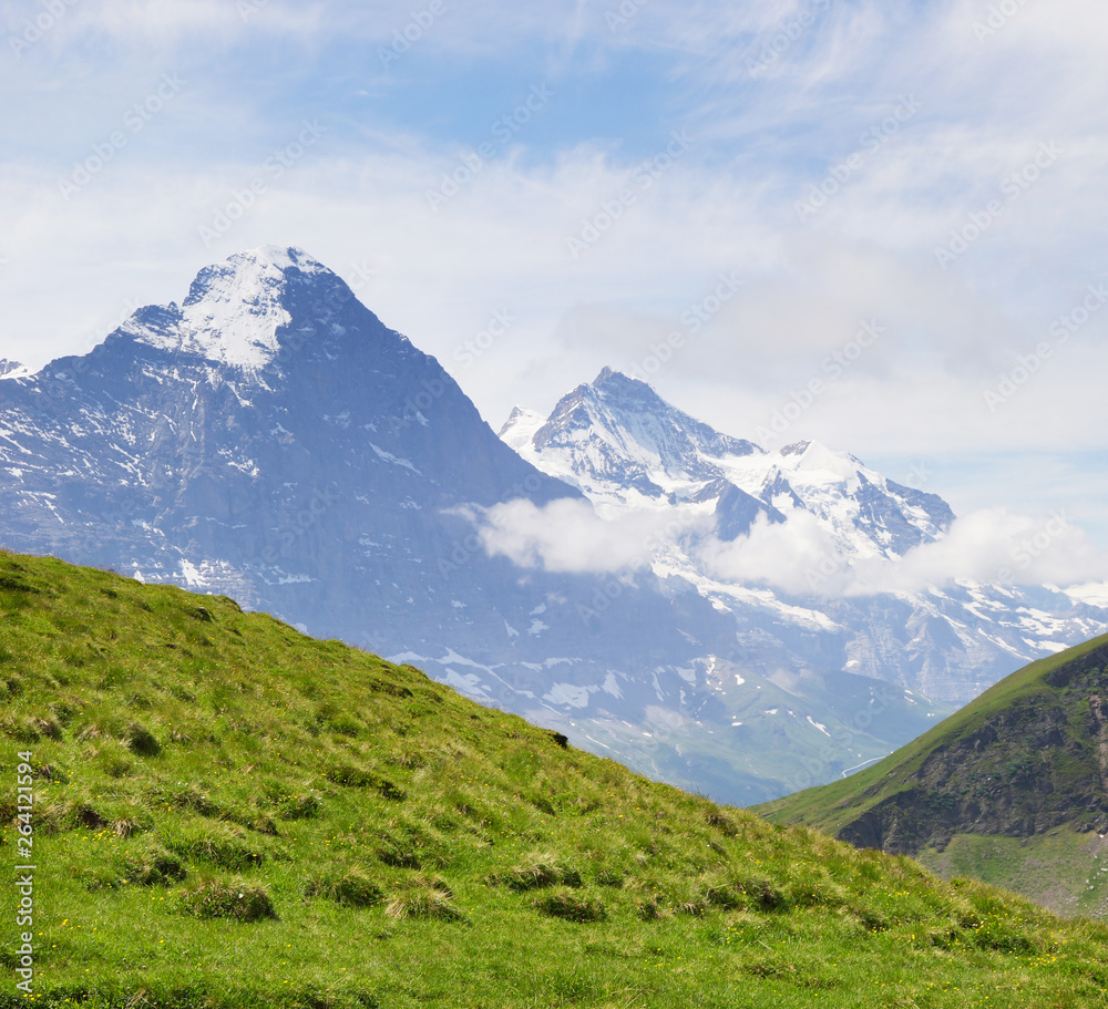 Obraz premium Alpine peaks of Grindelwald and Jungfrau. Landskape background of Bernese highland. Alps, tourism, journey, hiking concept.