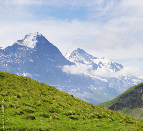 Wallpaper Mural Alpine peaks of Grindelwald and Jungfrau. Landskape background of Bernese highland. Alps, tourism, journey, hiking concept. Torontodigital.ca