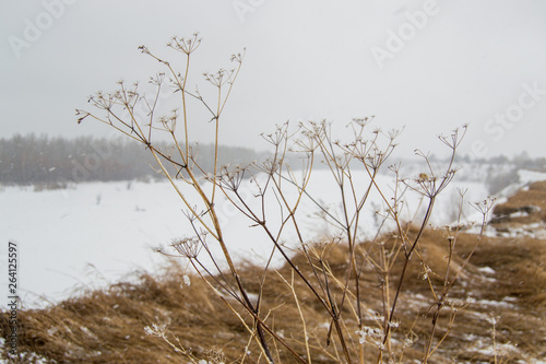 spring landscape in Siberia on the river