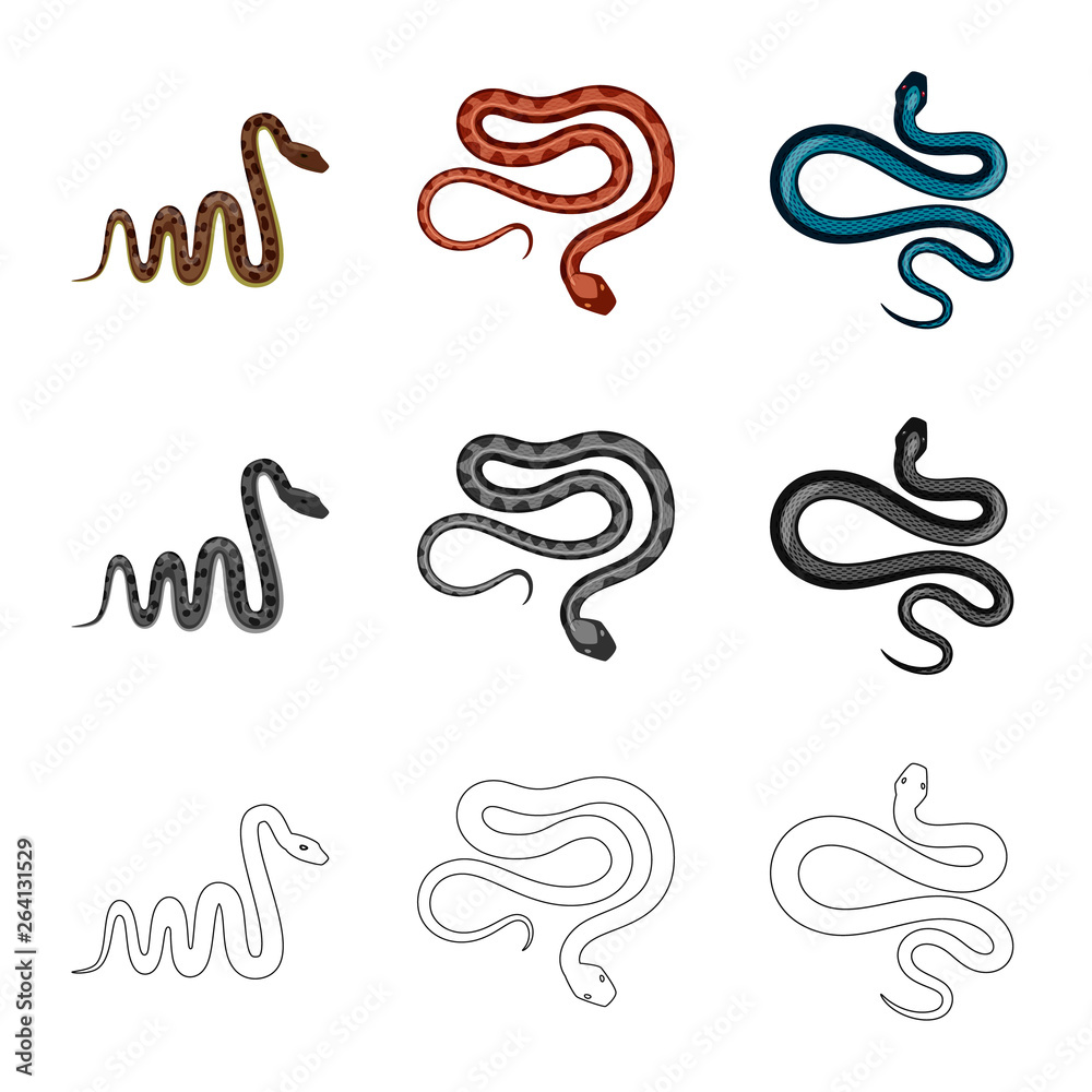 Vector design of mammal and danger logo. Set of mammal and medicine vector icon for stock. Vector design of mammal and danger logo. Set of mammal and medicine vector icon for stock.