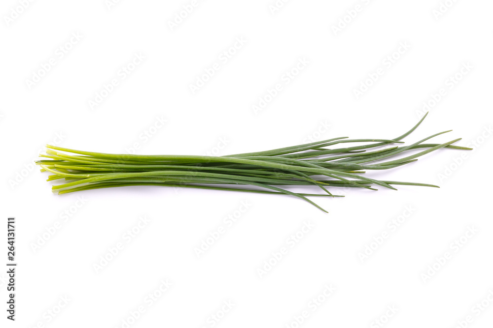Chives isolated on white background. Allium schoenoprasum Chives isolated on white background. Allium schoenoprasum