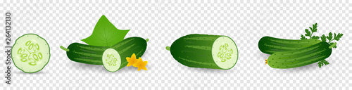 Cucumber plant. Set of cucumber seed, sprout, flower, leaves, vegetable. Plant growth. Vector elements isolated on transparent background