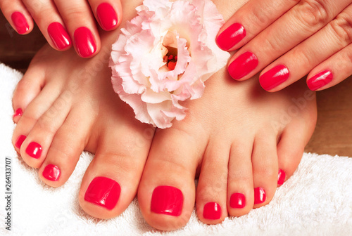 Pink manicure and pedicure with flower close-up on white background  top view