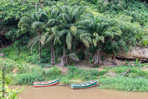 Nature of Benguela in Angola