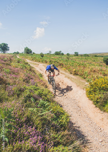 Mountain biker rides along country track