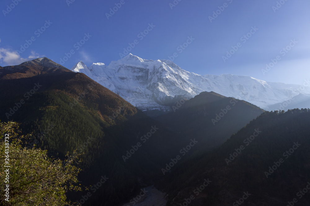 snow-capped mountain peaks against the background of a coniferous forest landscape