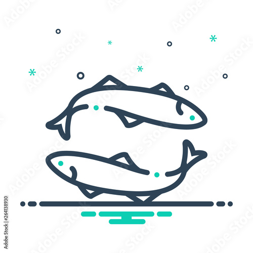 Mix solid icon for anchovy 