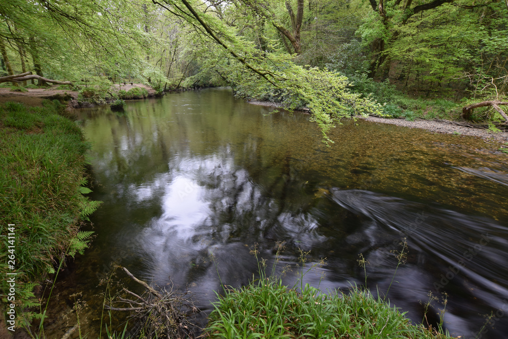 The River Fowey in Cornwall in Spring The River Fowey in Cornwall in Spring