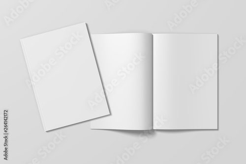 The blank white magazine set