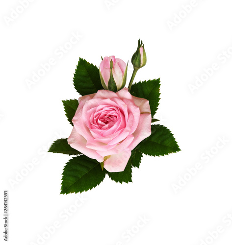 Pink rose flowers with green leaves in a floral arrangement