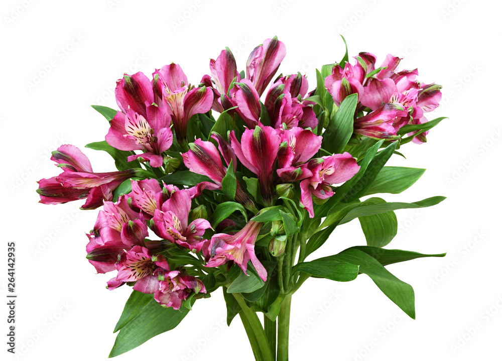 Bouquet of pink alstroemeria flowers Bouquet of pink alstroemeria flowers