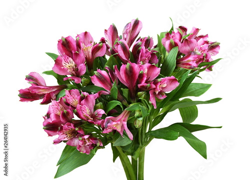 Bouquet of pink alstroemeria flowers photo