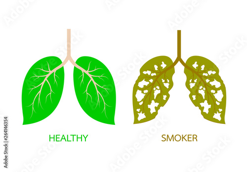 Leaves designed like human lung comparison. unhealthy lung awareness. Stop smoking, world no tobacco day. Vector illustration isolated on white background.
