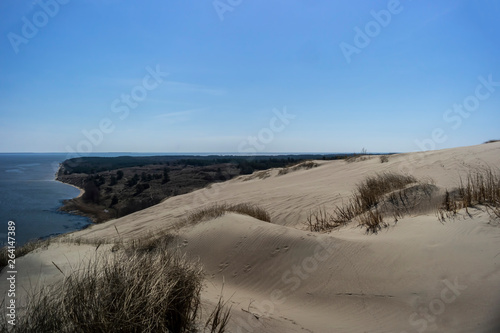 Fototapeta Naklejka Na Ścianę i Meble -  View of Dead Dunes, Curonian Spit and Curonian Lagoon