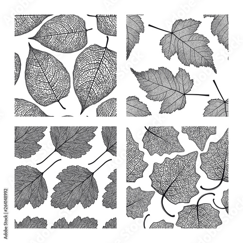 Set of four seamless patterns with skeleton leaves. Stefanander, hawthorn and poplar.