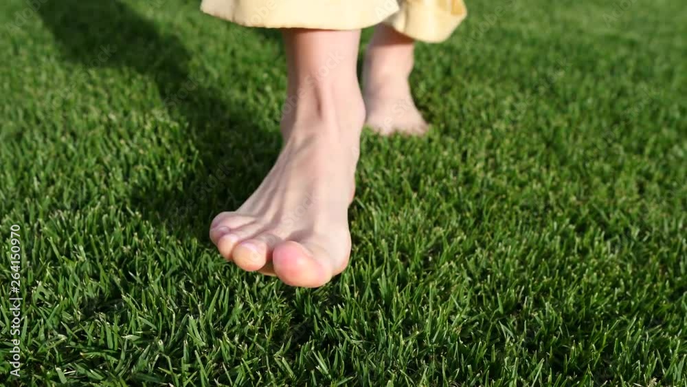 Female Legs Walking Barefoot On Green Grass. Closeup. Female Legs Walking Barefoot On Green Grass. Closeup.