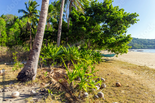 Nagtabon Beach on Palawan Island photo