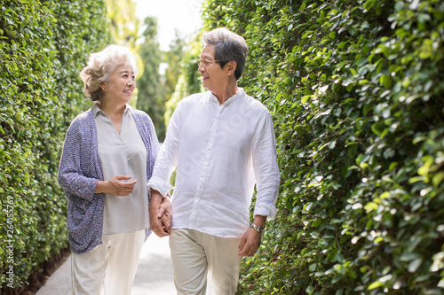 Happy senior couple holding hands and strolling