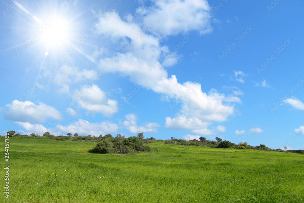 green field and blue sky - obrazy, fototapety, plakaty 