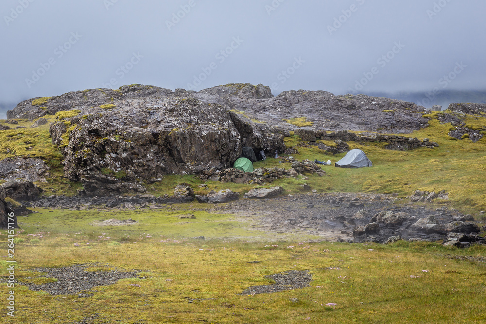 Wild camping in Iceland, two tents on a meadow in southeastern part of the country
